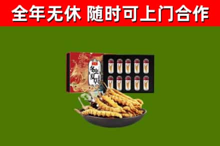 鹿泉区回收冬虫夏草价格